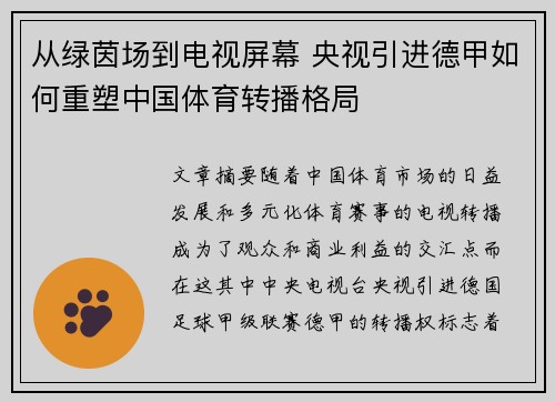 从绿茵场到电视屏幕 央视引进德甲如何重塑中国体育转播格局