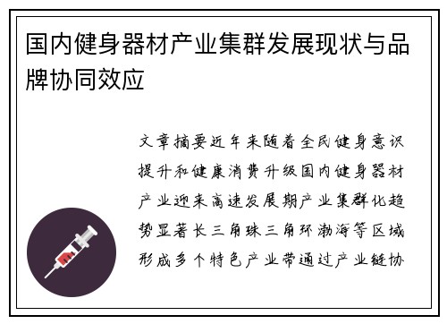 国内健身器材产业集群发展现状与品牌协同效应